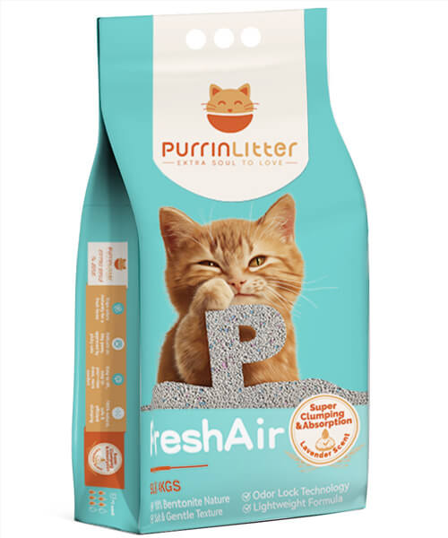 Bentonite Cat LItter