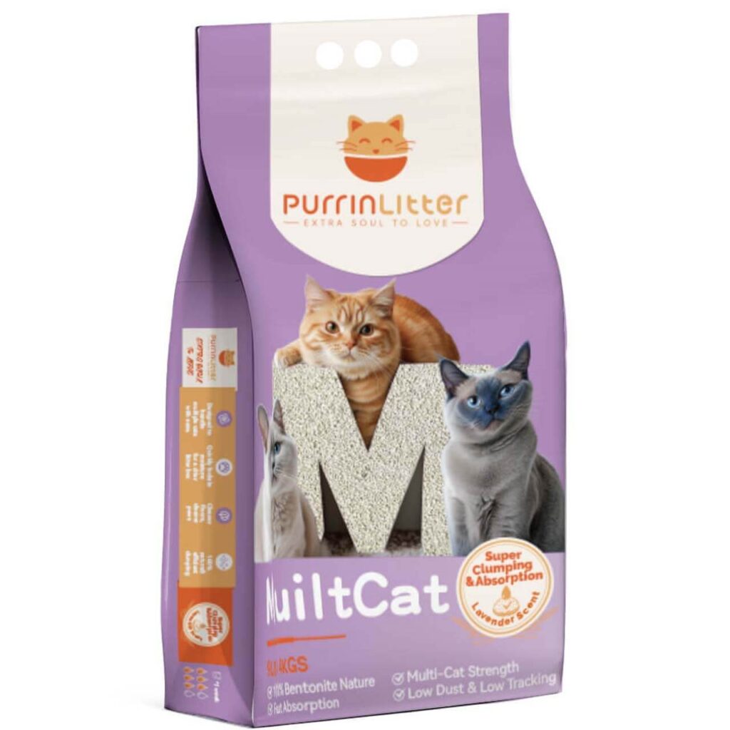 What Is Mixed Cat Litter and Why Should You Try It?