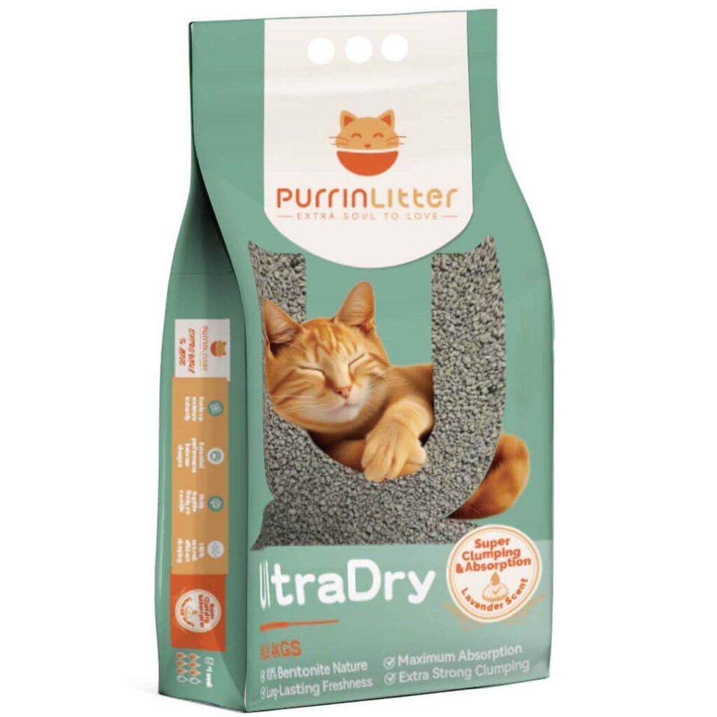 Is Pine Wood Cat Litter Safe for Kittens and Senior Cats?
