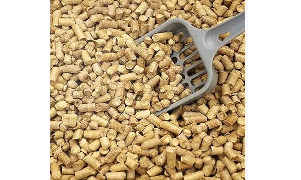 Silica Litter Cleaner But Still Problematic 2