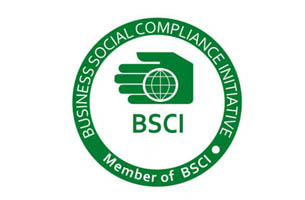 bsci logo